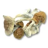 buy Mexicana Mushrooms Germany