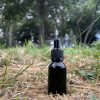 Ayahuasca Vine Microdosing Drops Europe