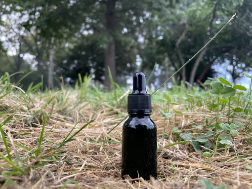 Ayahuasca Vine Microdosing Drops Europe Ayahuasca Vine Microdosing Drops Europe