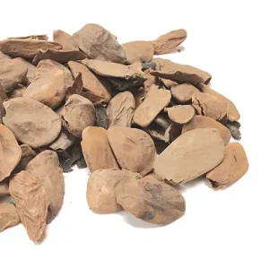 Akuamma Seed Europe 