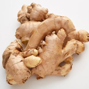 Ginger For Sale Europe