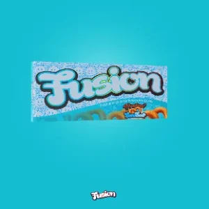 Fusion Pretzel And SeaSalt Chocolate Bar Europe
